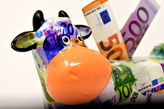 Půjčka může pomoci